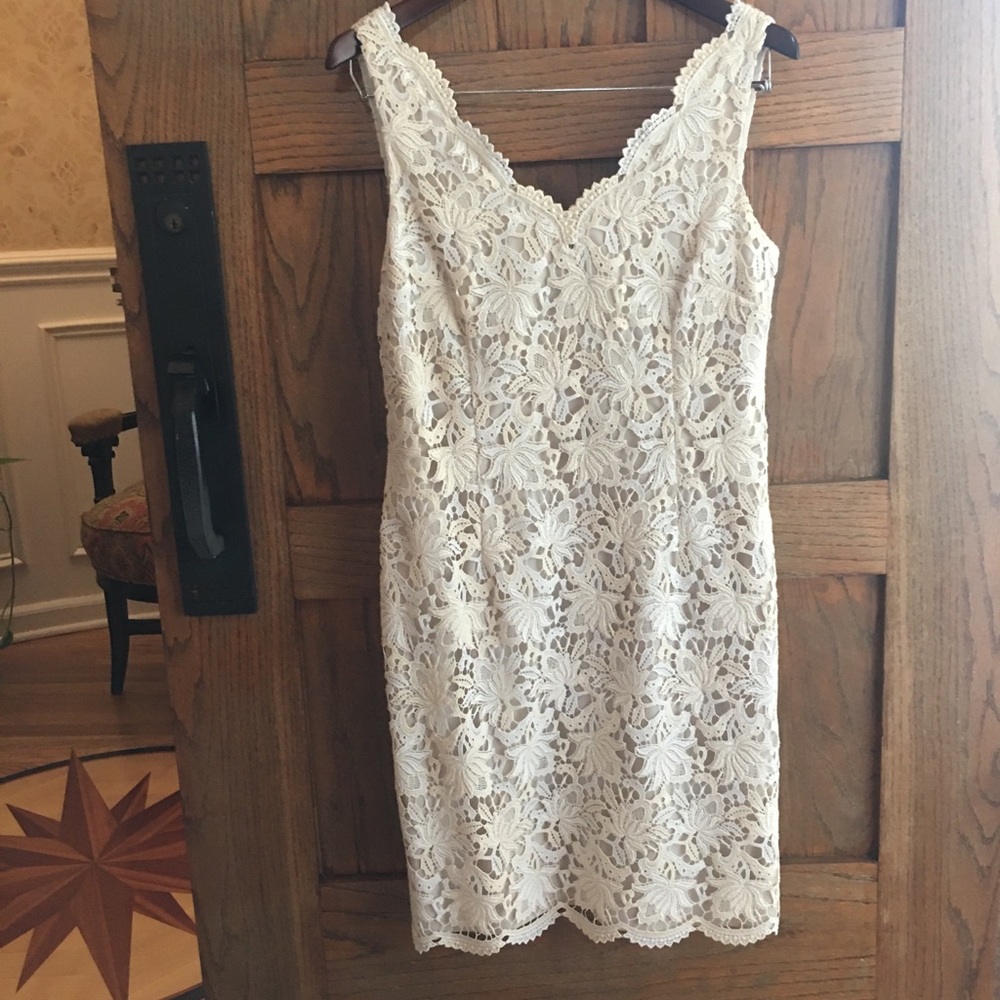 Gorgeous lace V neck dress